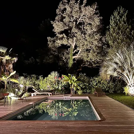 Avec Piscine Chauffee, Jardin Exotique, Au Calme Proche Plages Et Commerces, - Fr-1-791-17 Villa Capbreton