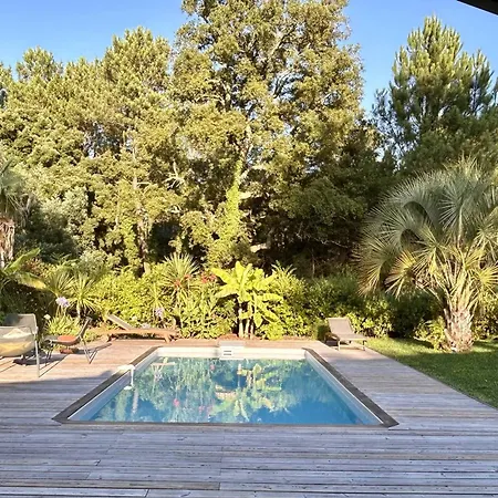 Villa Avec Piscine Chauffee, Jardin Exotique, Au Calme Proche Plages Et Commerces, - Fr-1-791-17 Capbreton